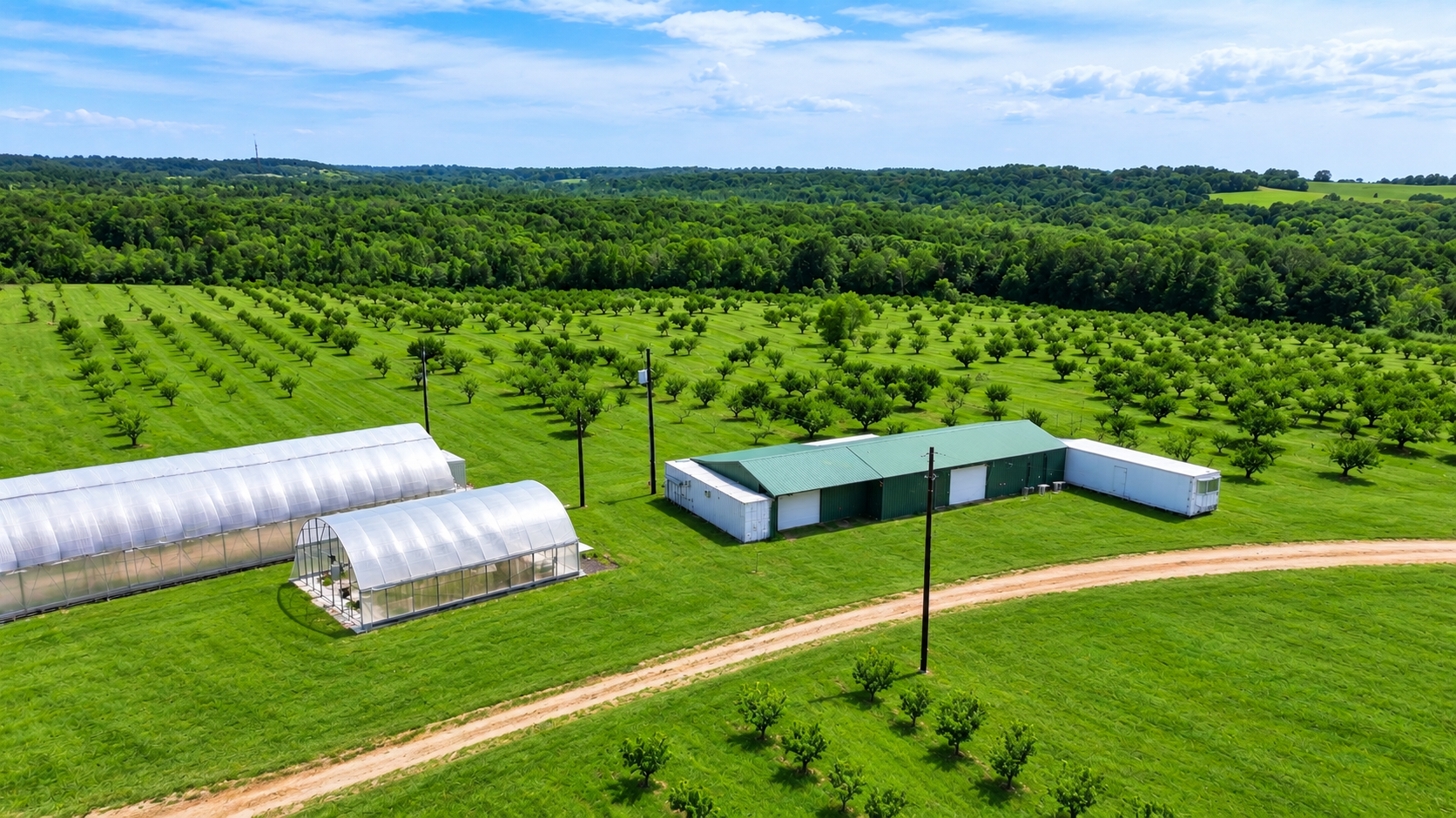 Aerial panorama of the peach orchard and agricultural improvements at 16420 County Road 356 near Winona, Texas