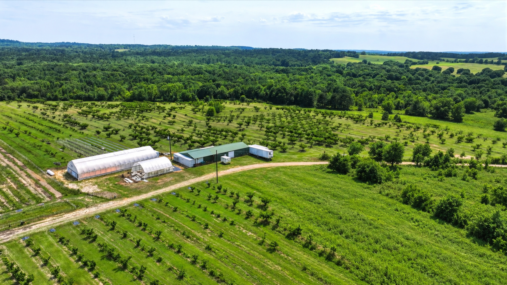 Aerial view of the Winona orchard farmstead, greenhouses and surrounding East Texas land