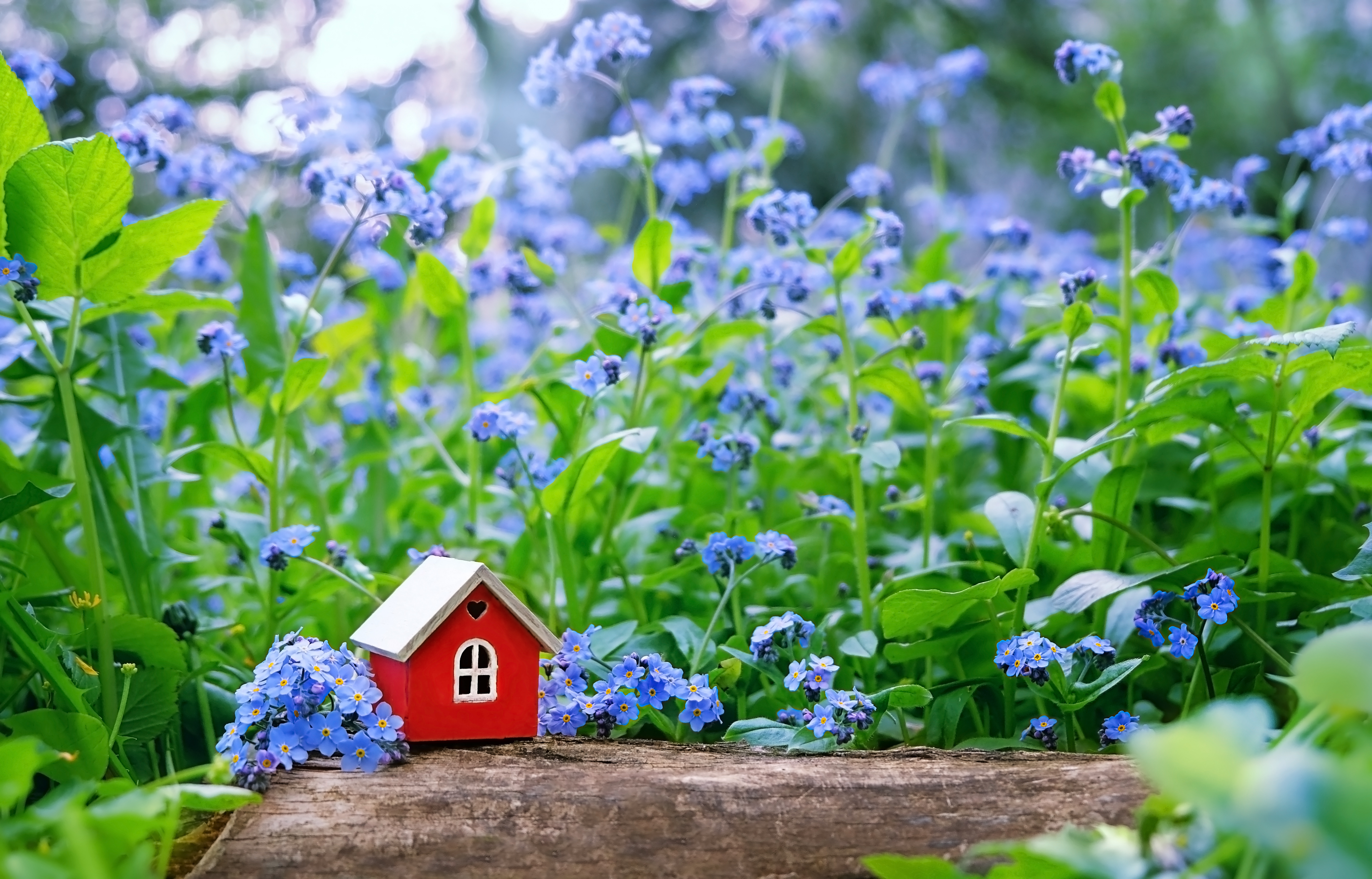 What Buyer Activity Tells Us About the Housing Market