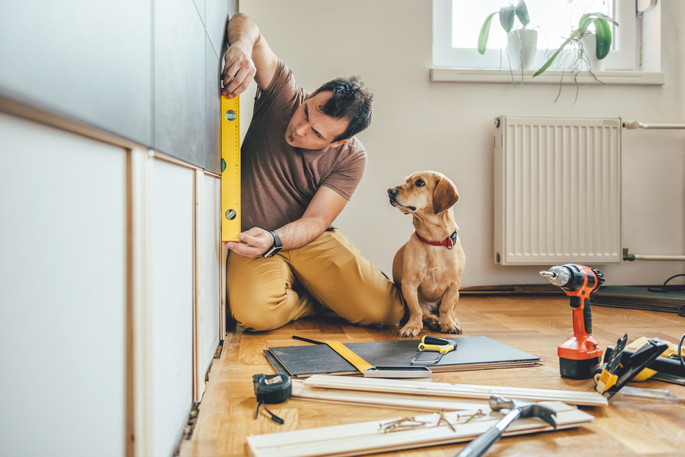 a man doing house renovations with his dog