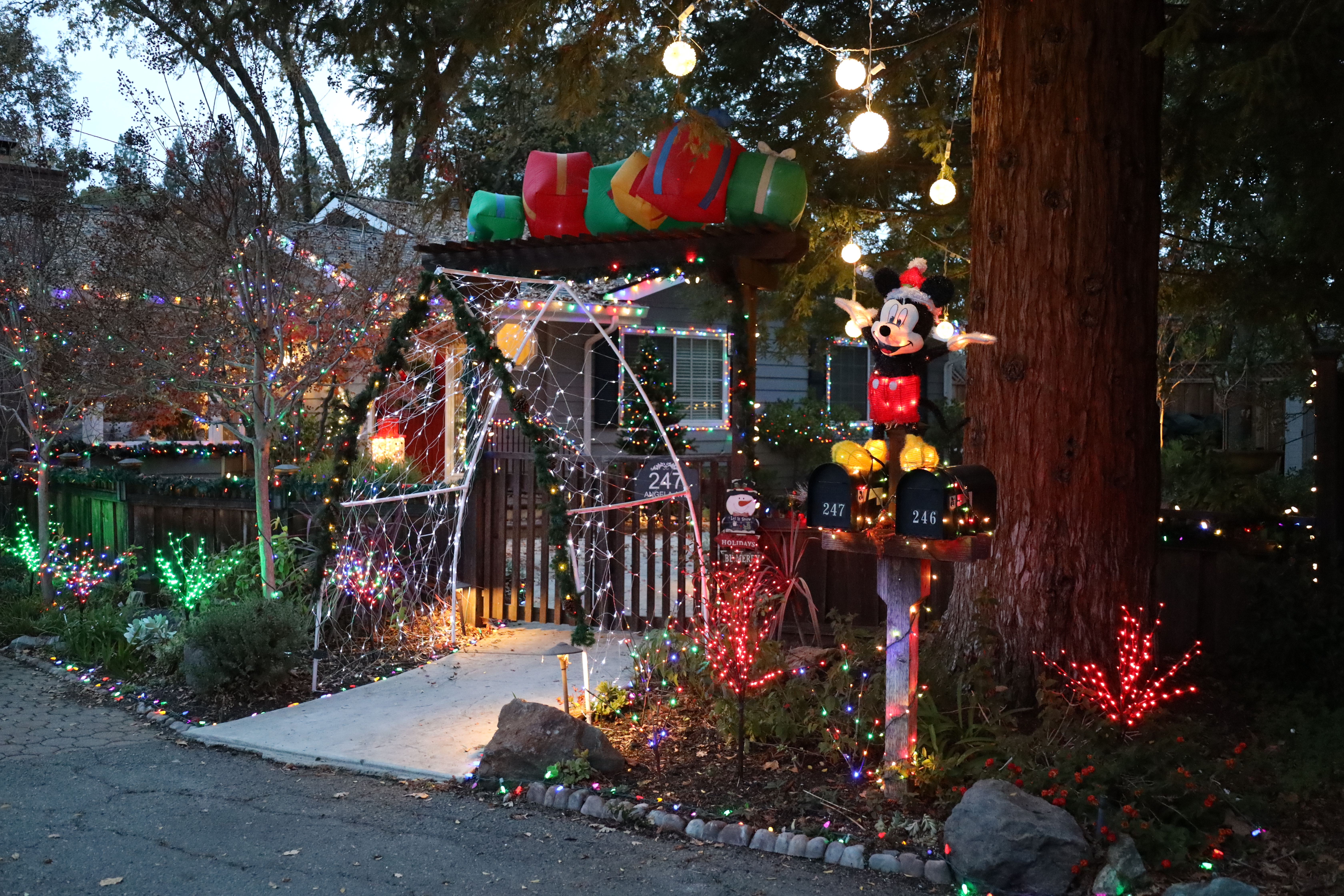 Mickey Mouse Holiday Lights East Bay California