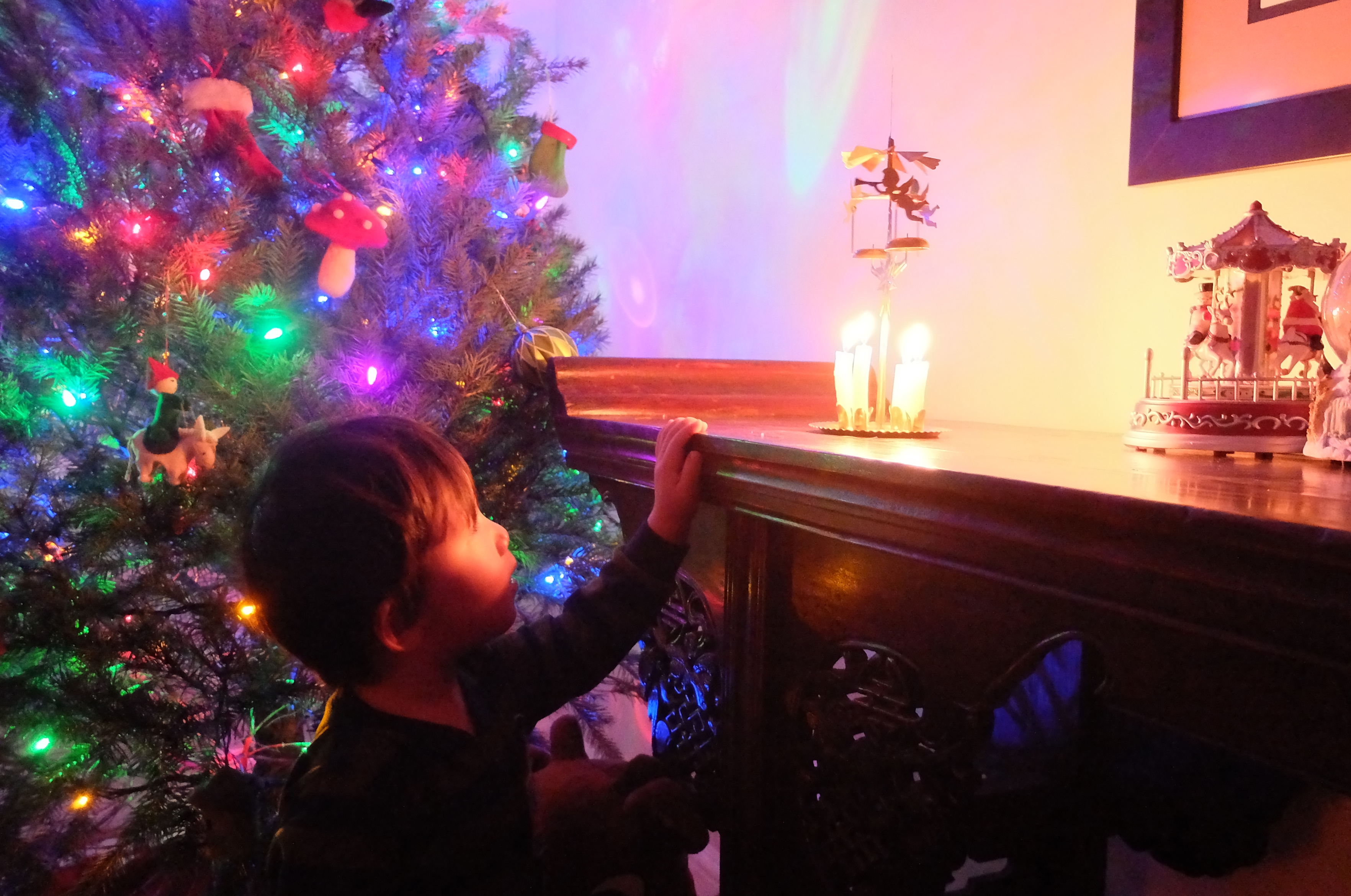 its that wonderful time of the year quest for the perfect christmas tree - Christmas By Myself This Year its that wonderful time of the year quest for the perfect christmas tree - Christmas By Myself This Year