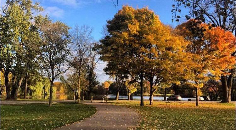 Friends of Grand Rapids Parks: Riverside Park