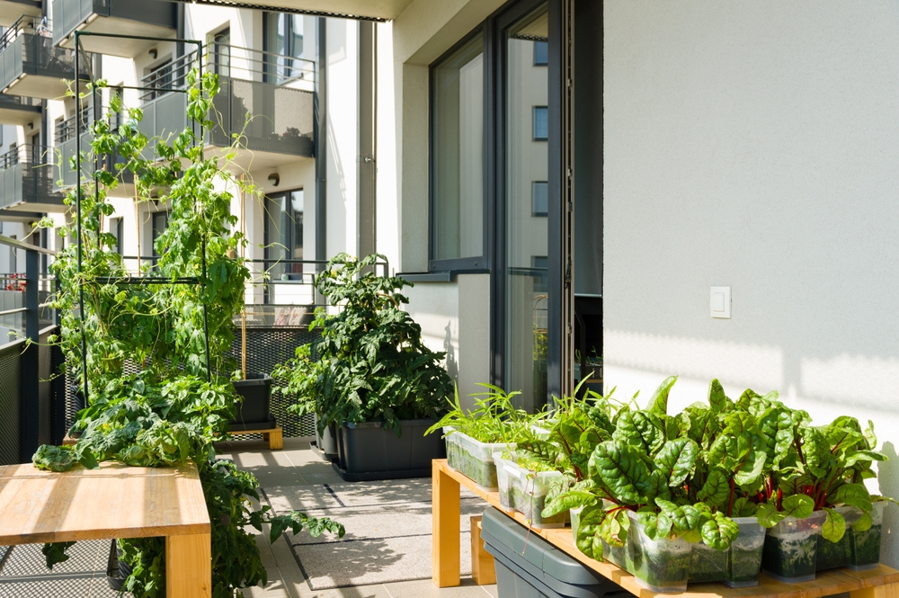 limited outdoor areas for garden