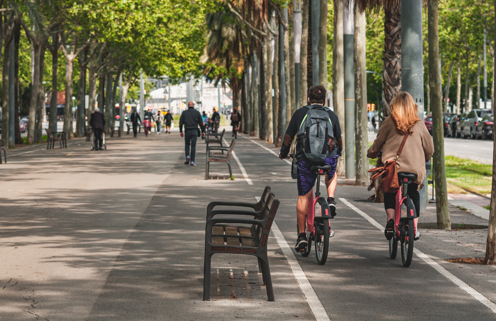 bikers lane in the city