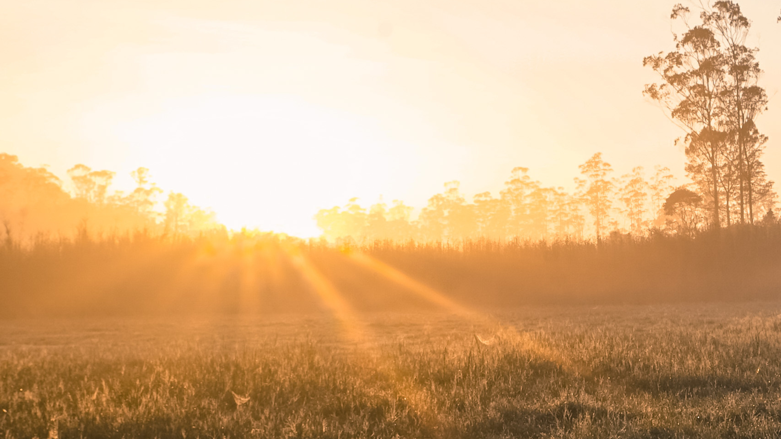 Homes Could Sell 9 Days Faster Between April 14-20th