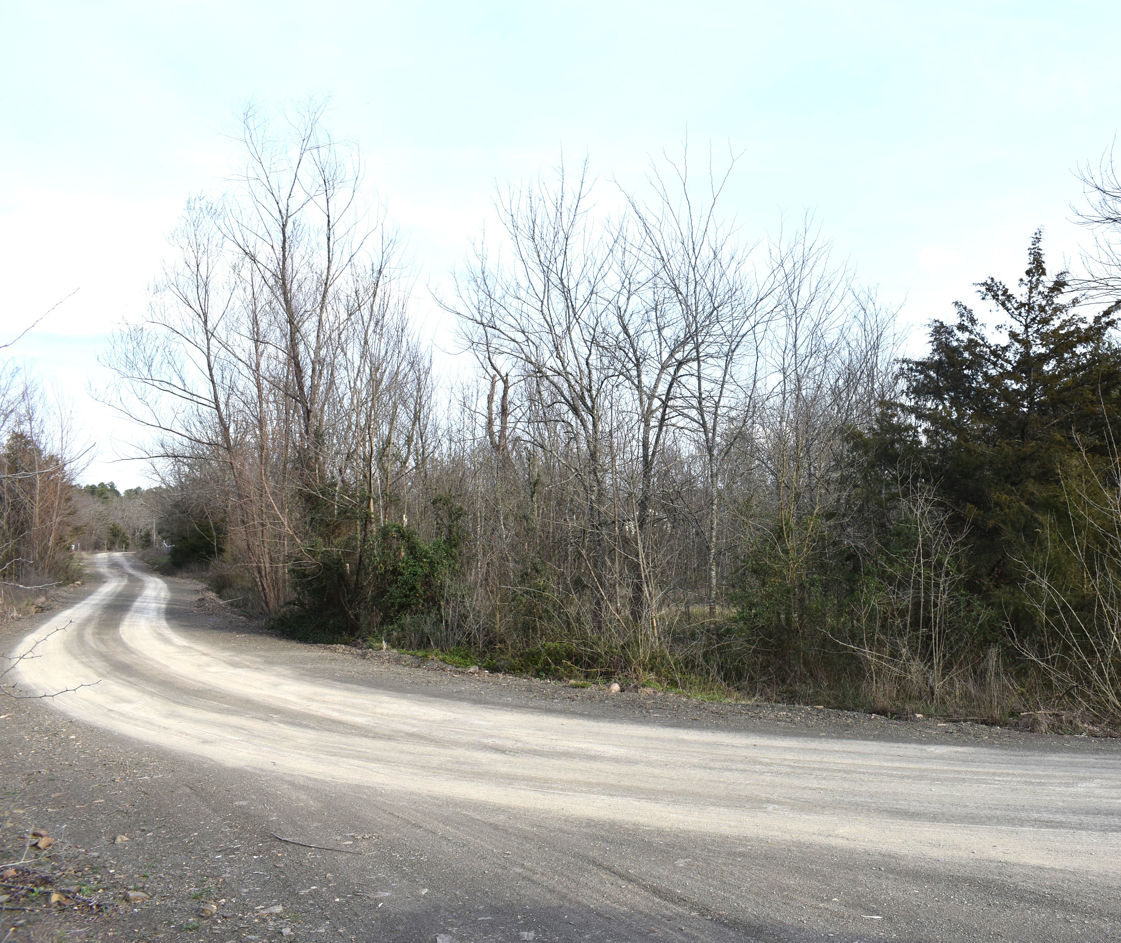 1 SWEET GUM DR, RATTAN - $18,000