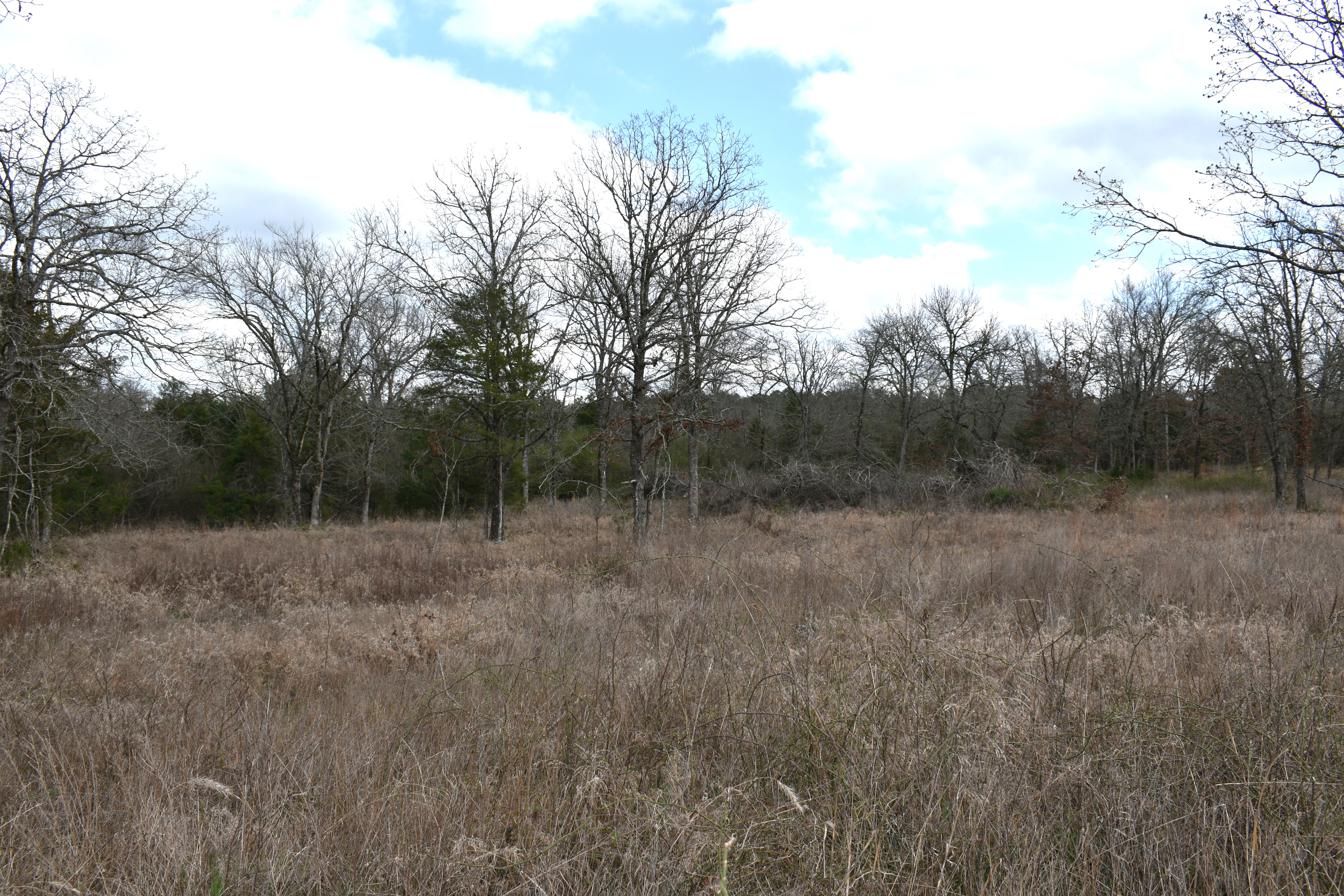 10 SWEET GUM RD, RATTAN - $35,000