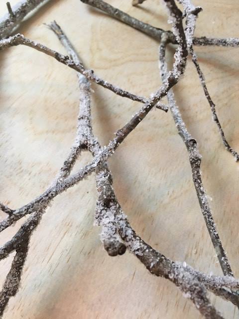 DIY Icy Branches