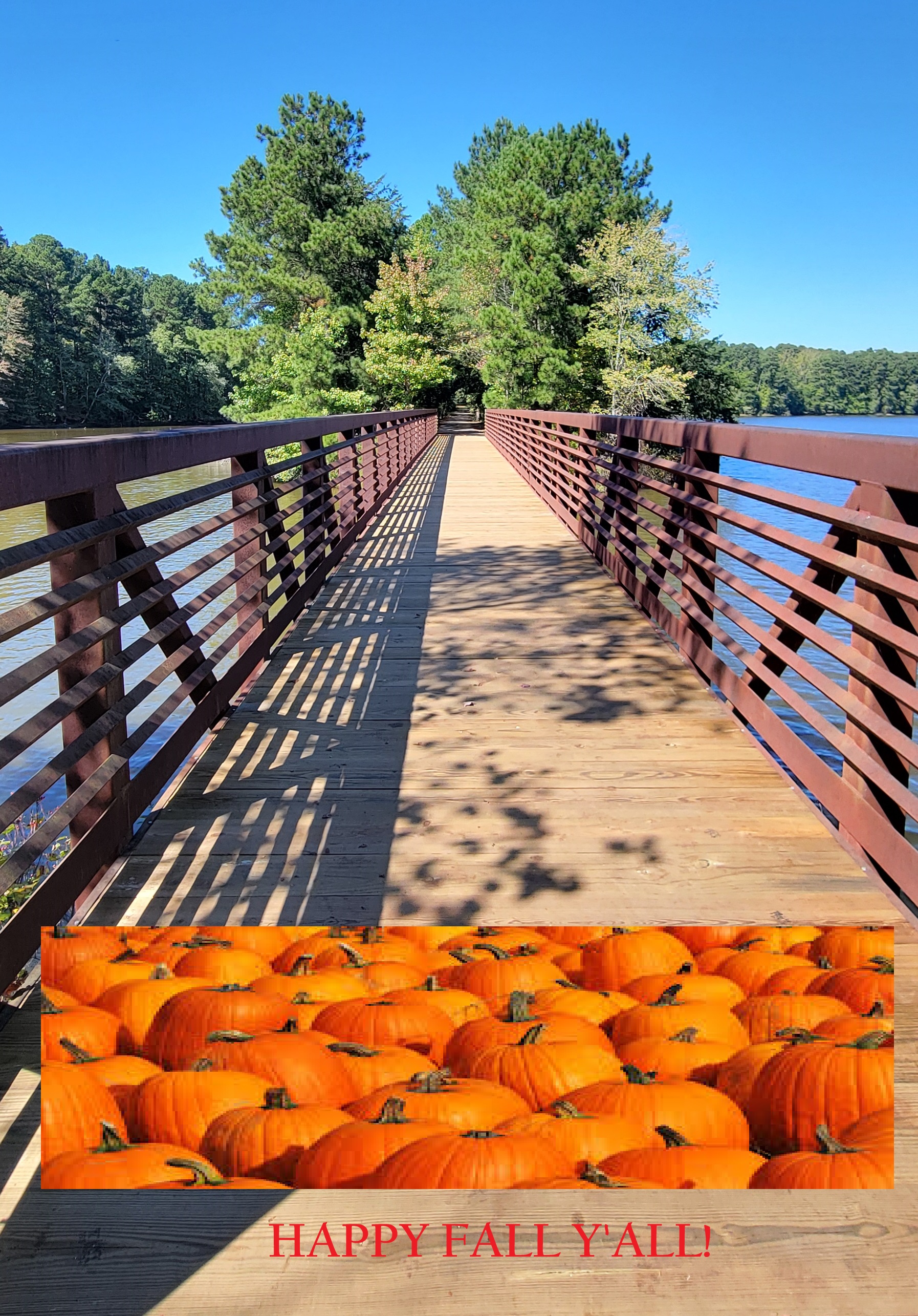HAPPY FALL Y'ALL 