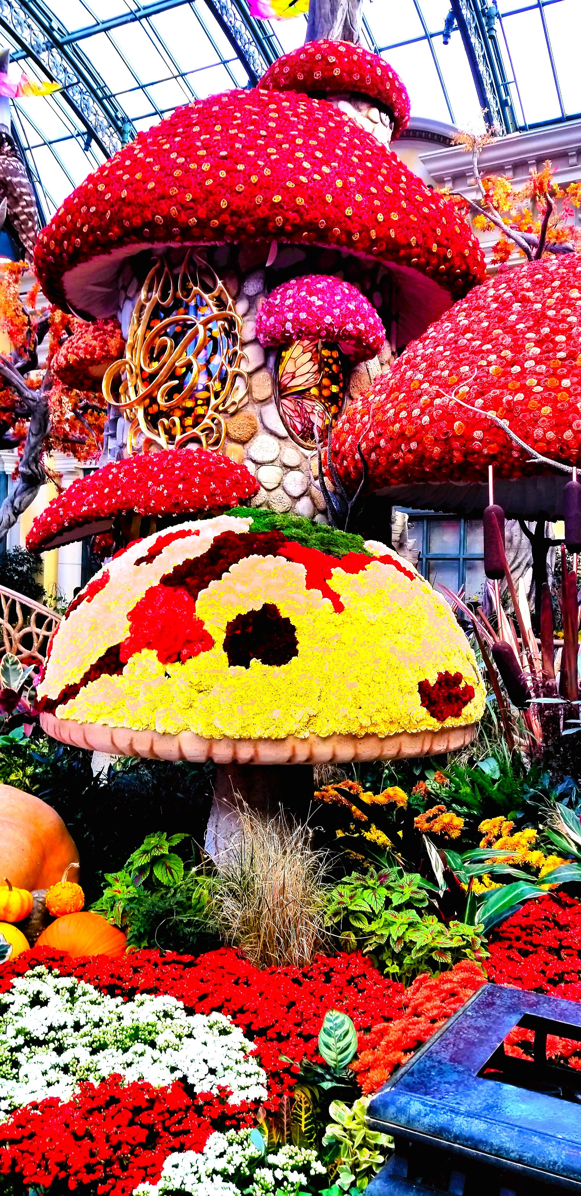 FALL Y'ALL, Lanterns, Holiday Market & More Oh My! 