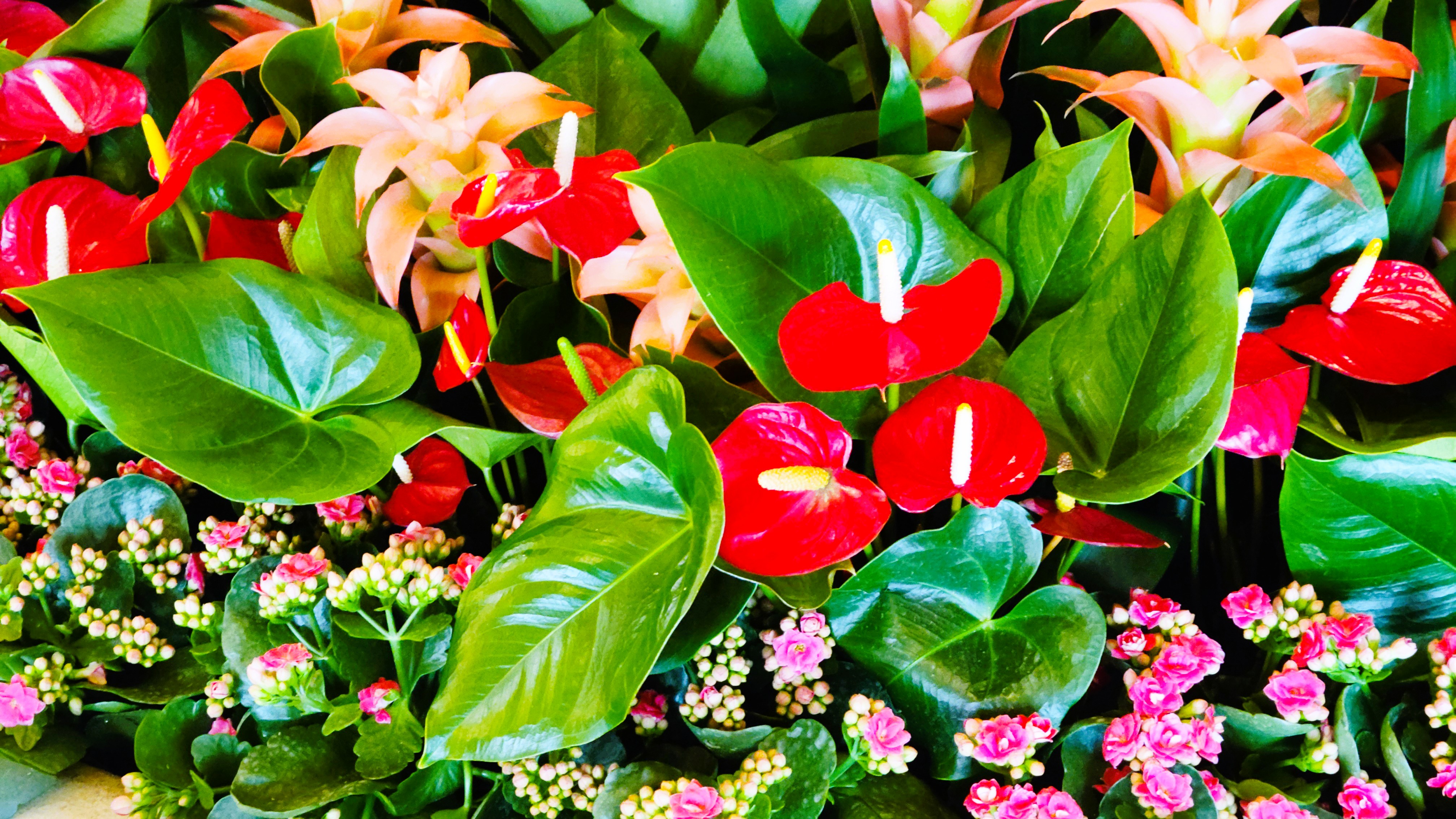 SPRING IS HERE! 