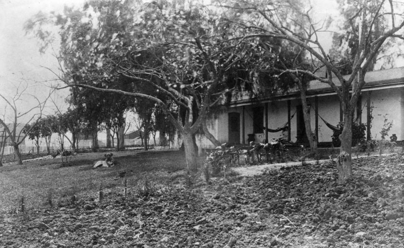Centinela Adobe, one of the oldest surviving structures in the Inglewood area. Black-and-white historic photograph of the Centinela Adobe in Inglewood, with trees, open land, and the adobe home visible in the background.