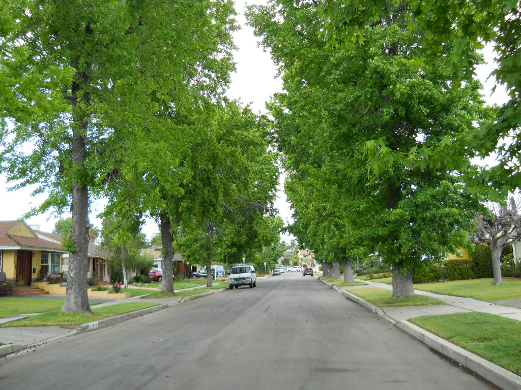 Tree-lined residential street in Van Nuys with single-family homes, lawns, mature trees, sidewalks and parked cars