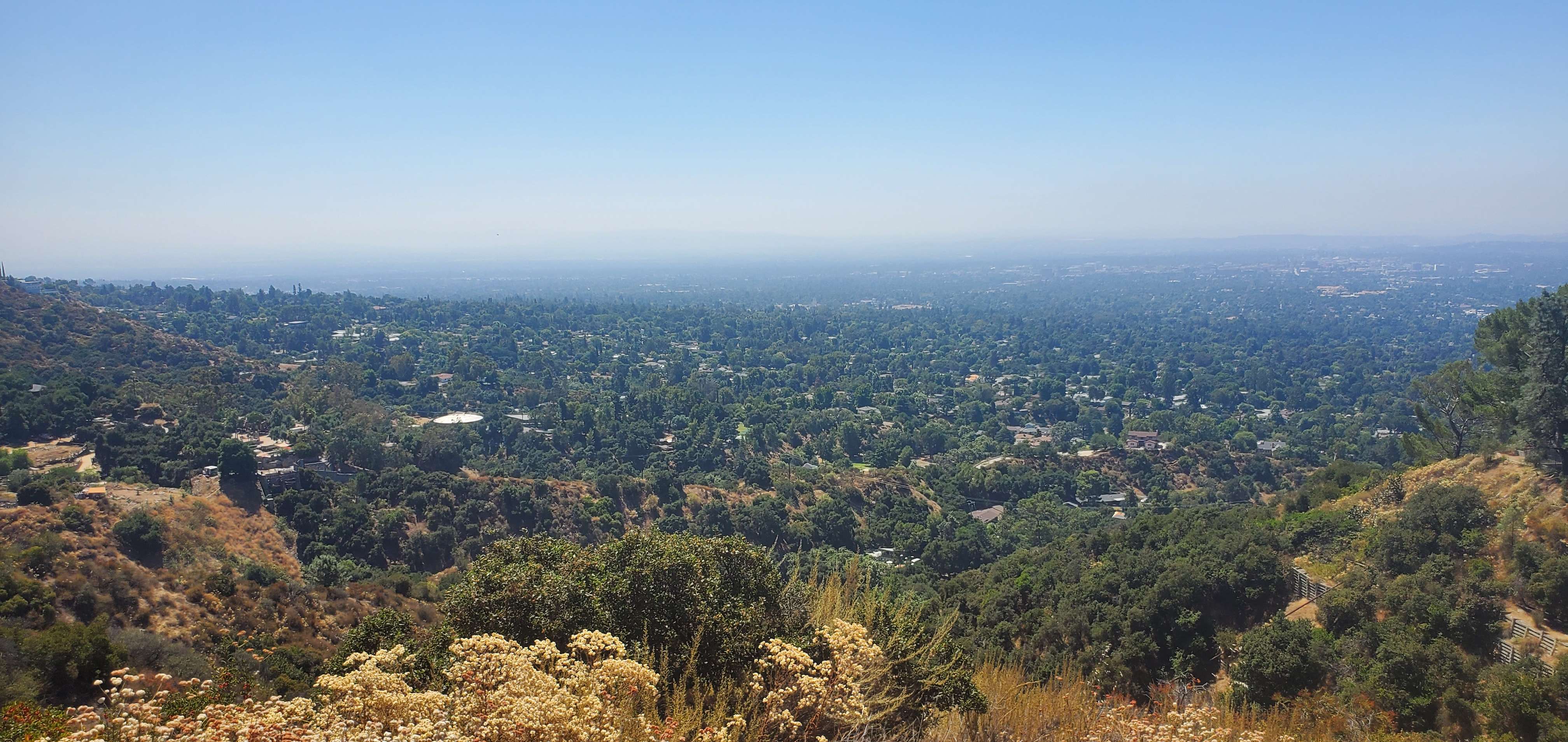 Wide view from Sunset Ridge showing Altadena homes, trees, foothills and the Los Angeles Basin in the distance.