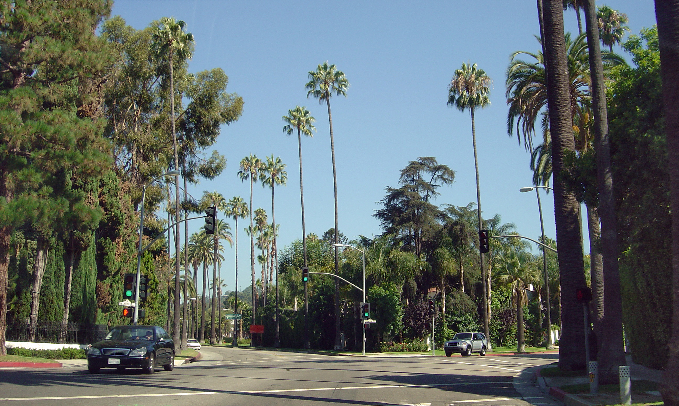 Palm-lined residential street in Beverly Hills near Benedict Canyon and Lexington Road with cars, hedges and mature landscaping.
