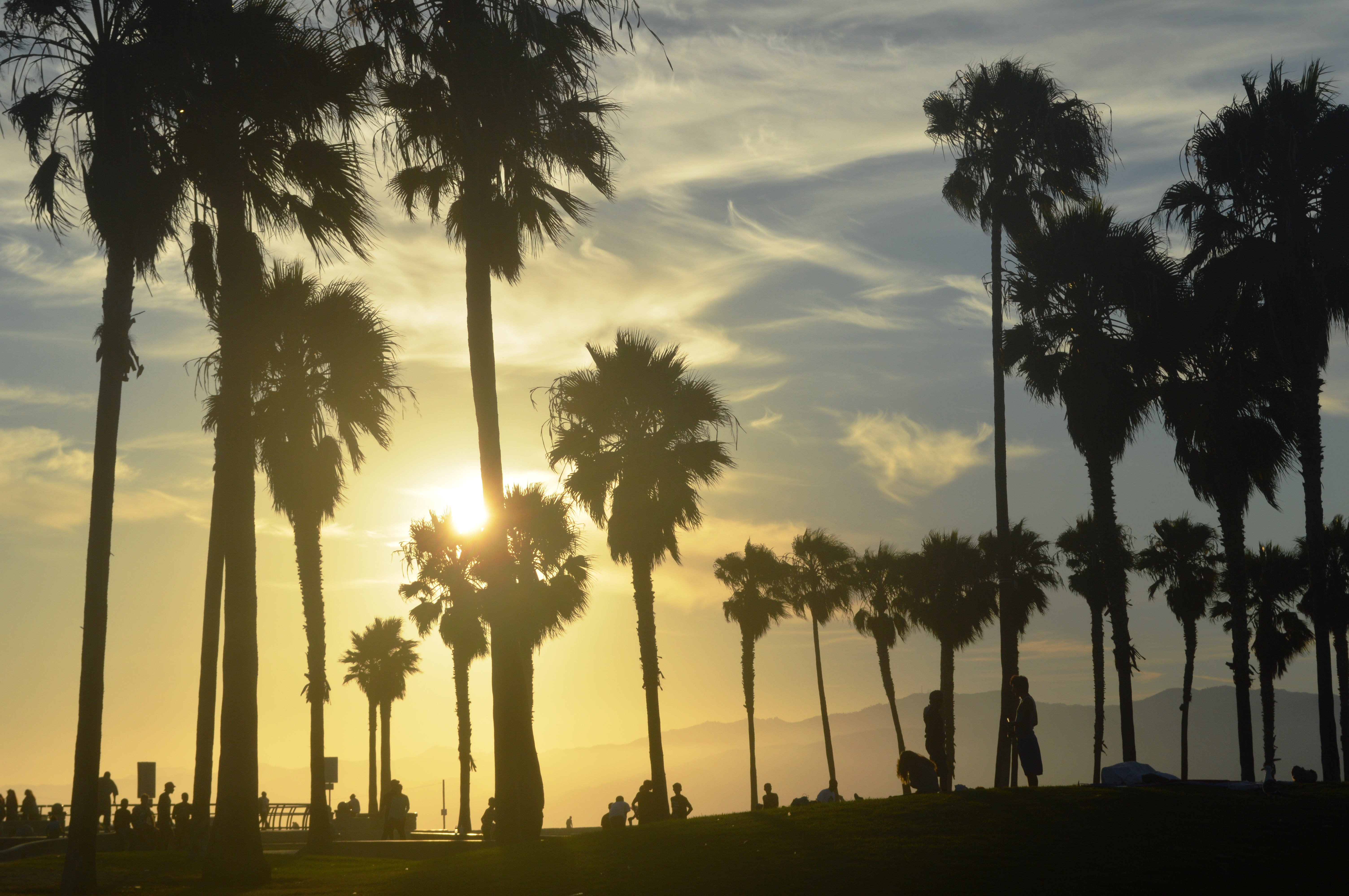 Sunset over Venice Beach with tall palm trees silhouetted against a golden sky and people gathered near the coast.