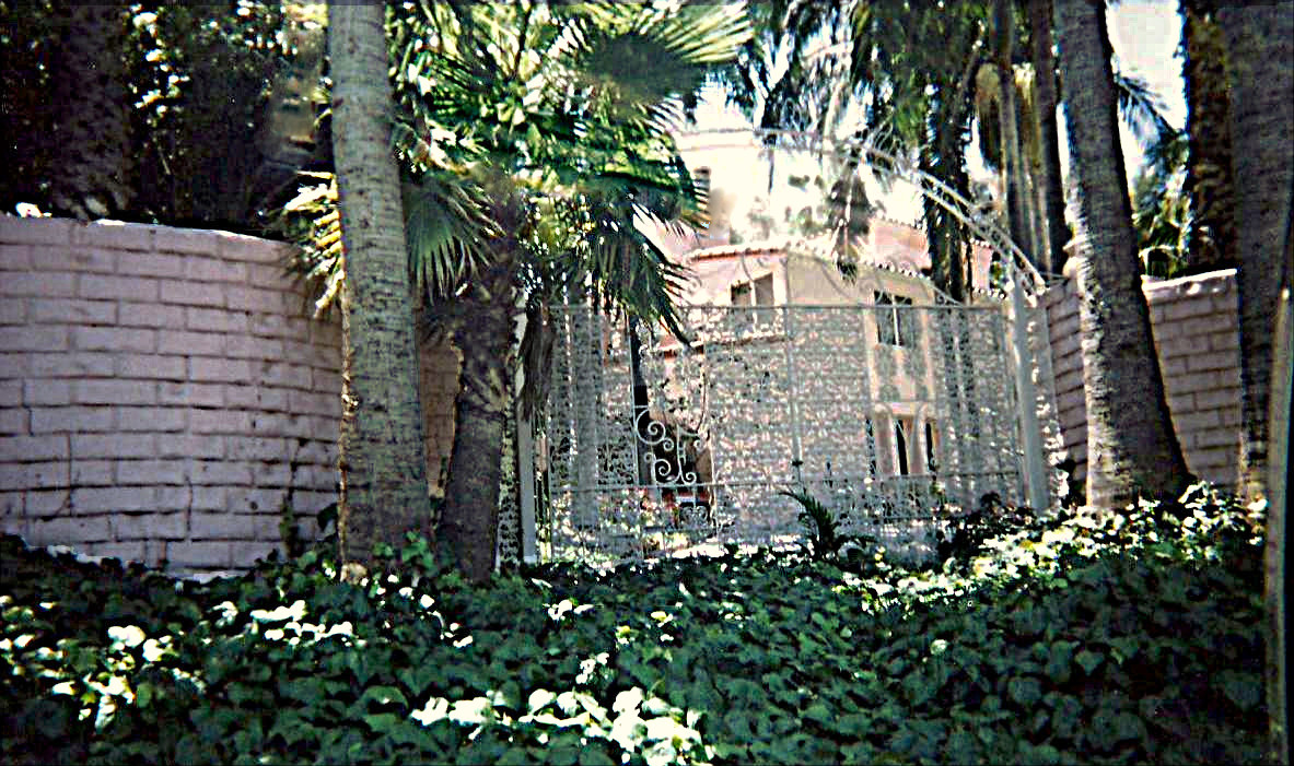 Gated Holmby Hills estate partially hidden behind palms, ivy and a pink wall.