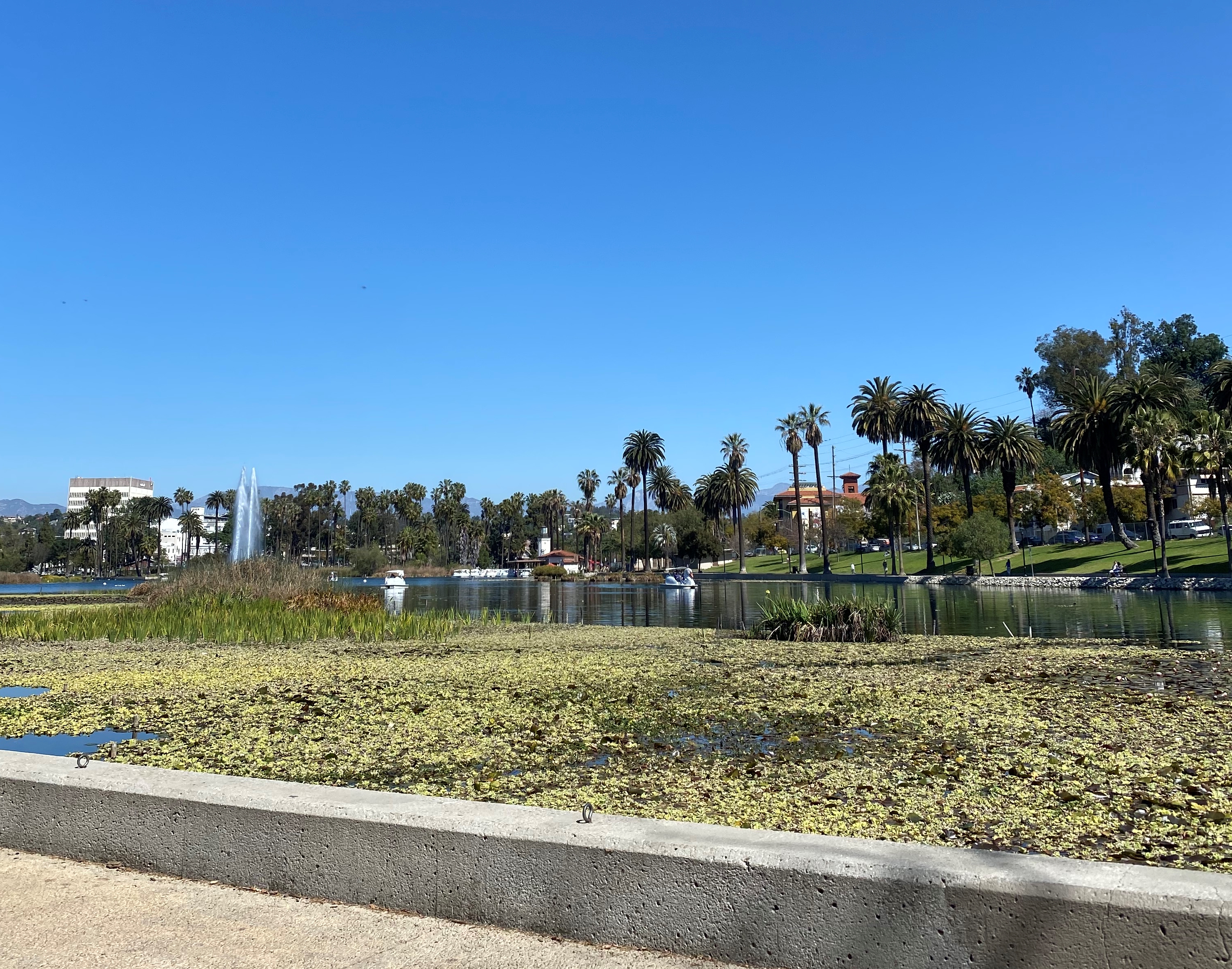 Echo Park Lake with palm trees, fountain and Downtown Los Angeles in the background.