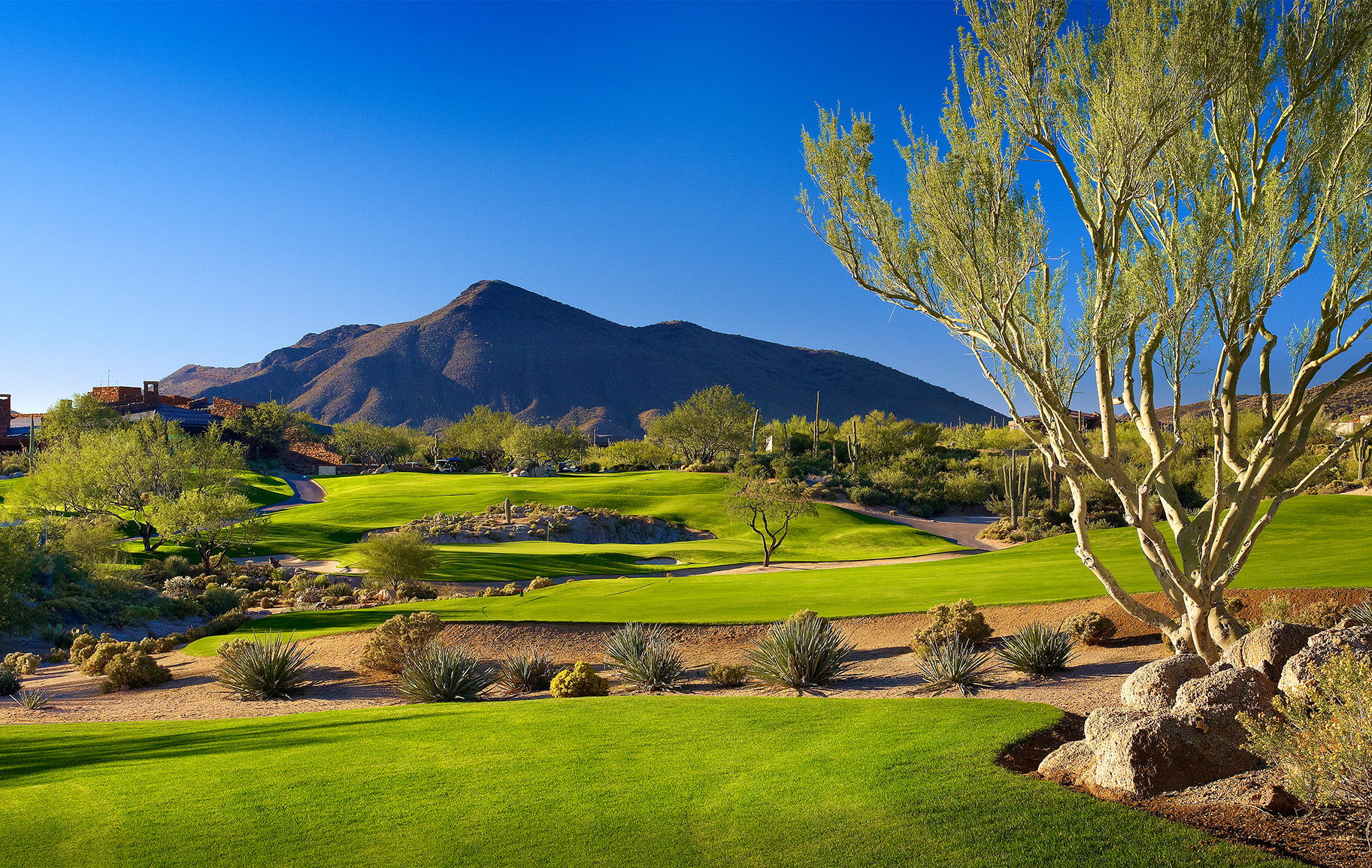Desert Moutain Desert Moutain