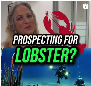 More ways than one to prospect