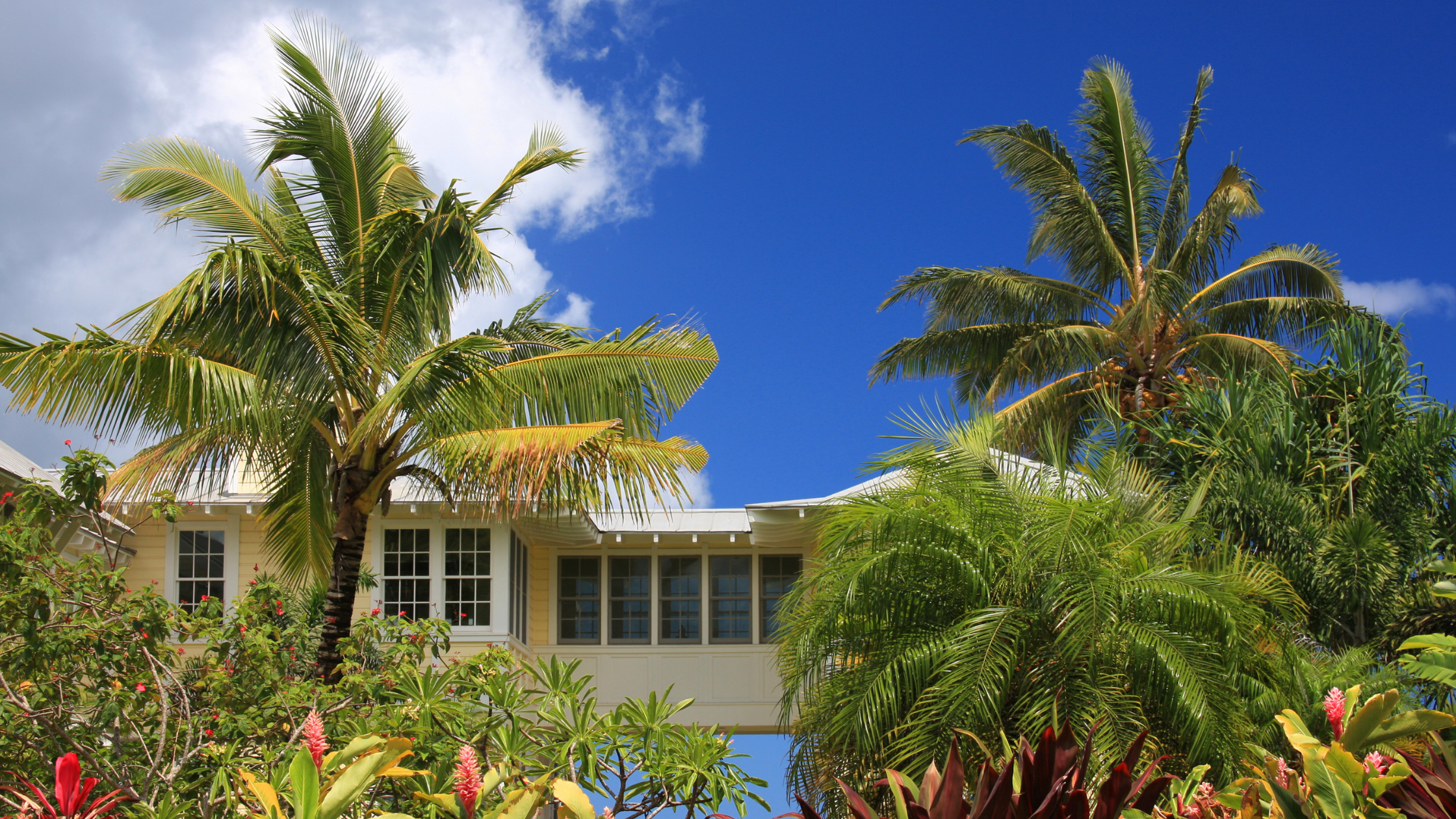 Open house Hawaii, Broker's Open Tips, Steps for an open house