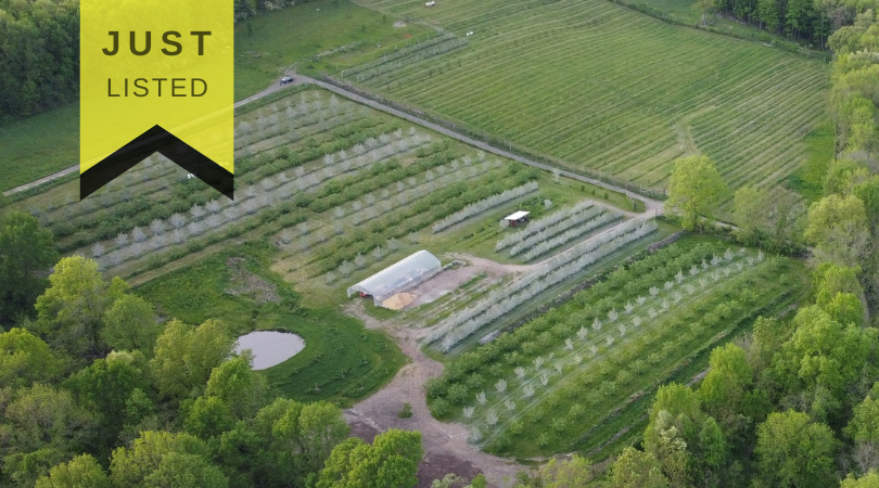 50 Acre Organic Homestead w/ Winery License