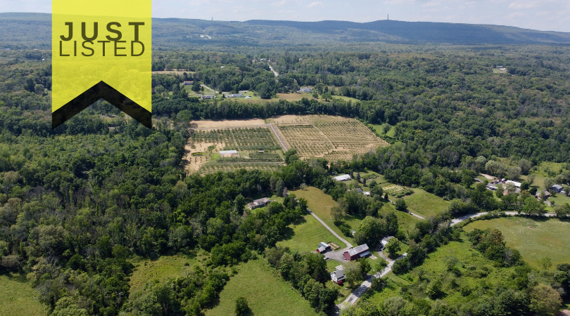 50 Acre Organic Homestead w/ Winery License