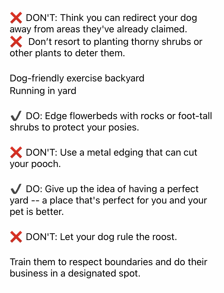 Dog Yard Tips 2