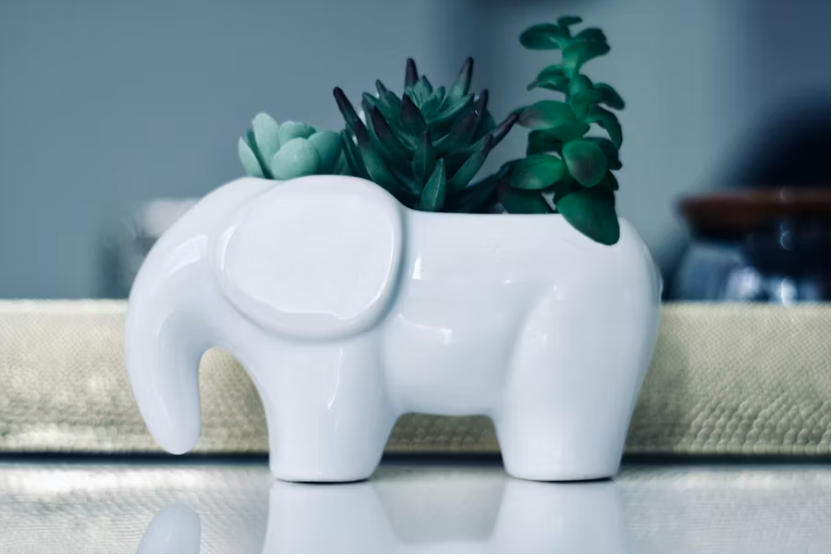 Is There a White Elephant Hiding In Your Home?