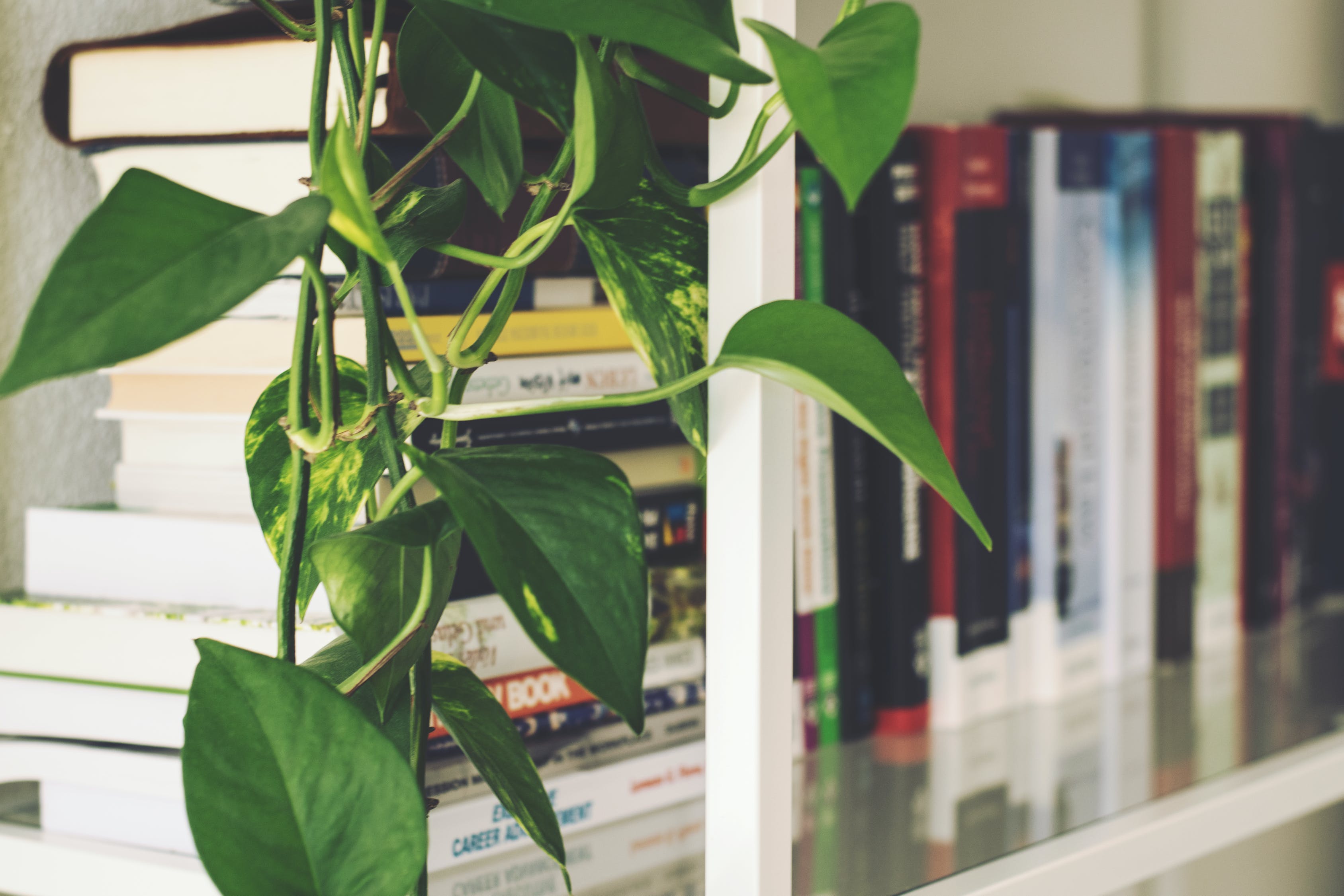 Create a More Energy-Efficient Home Without Breaking the Bank