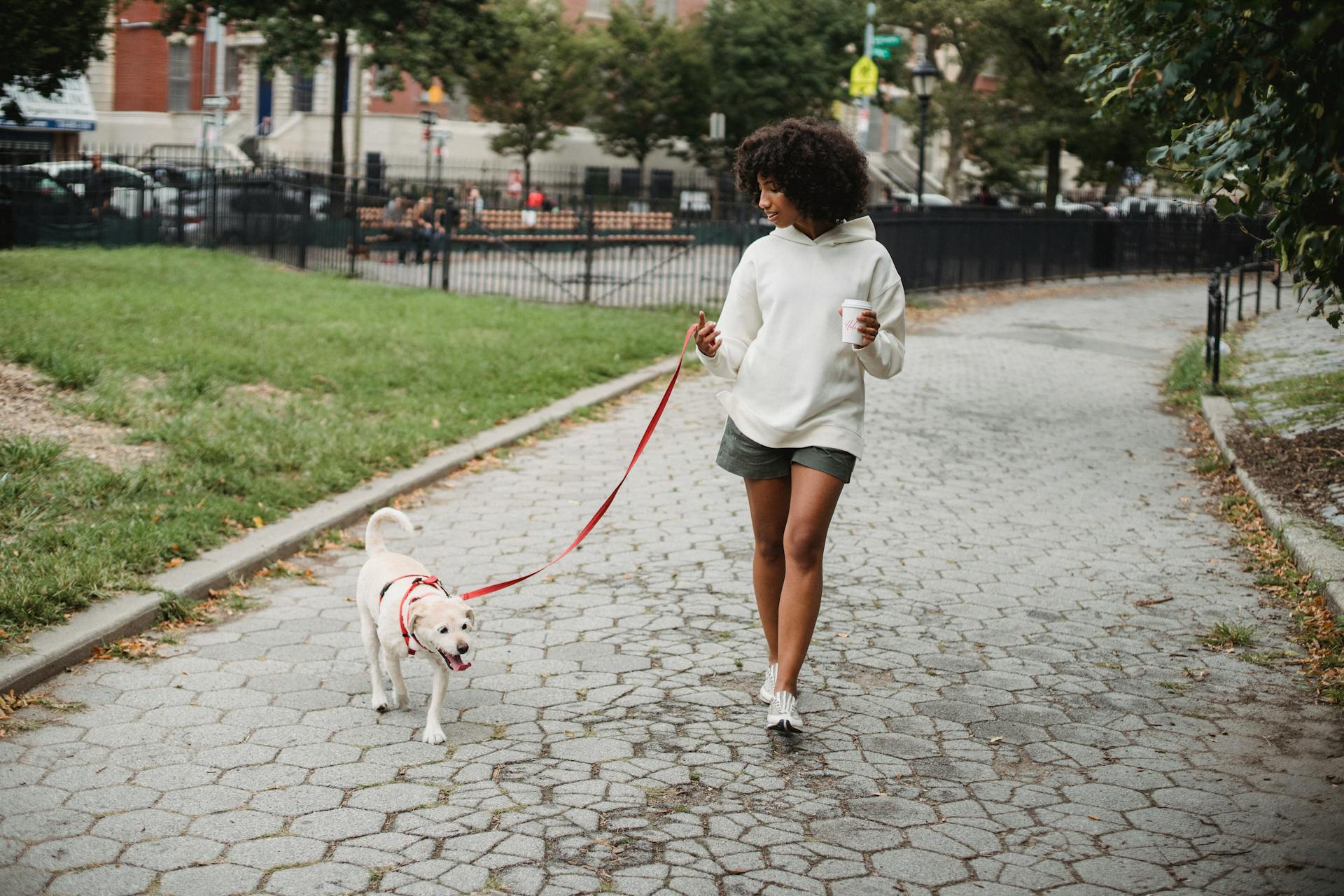 A girl walking her dog