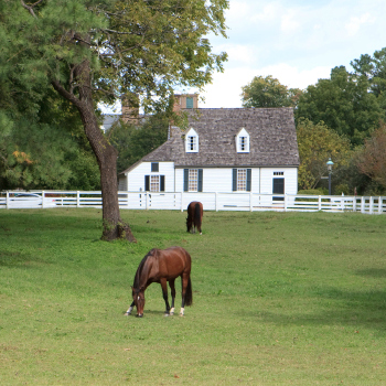 Appeal Property Taxes in Wayne IL