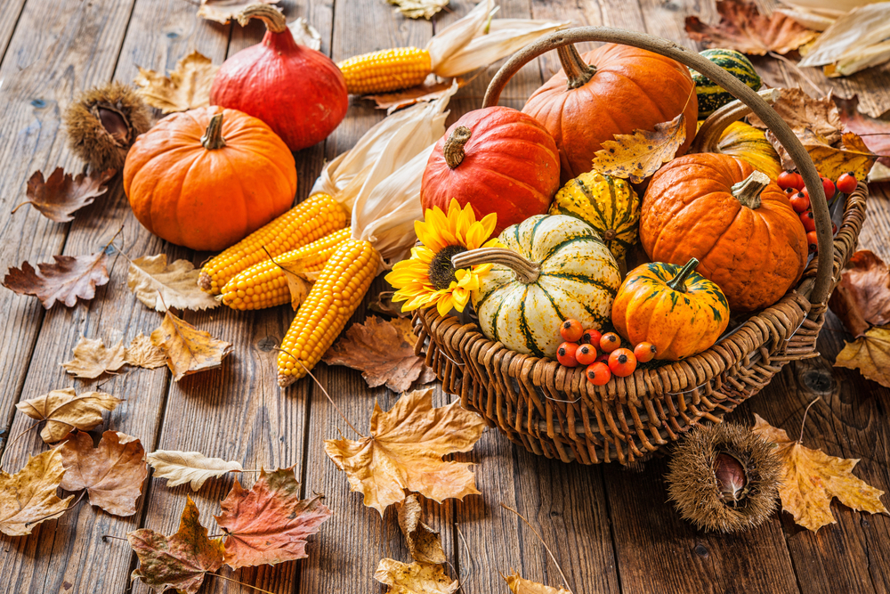 variety of pumpkins arranged beautifully in a basket