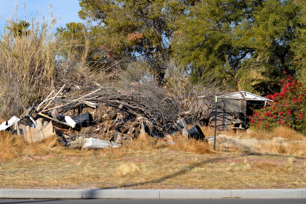 Neighborhood twigs and trash