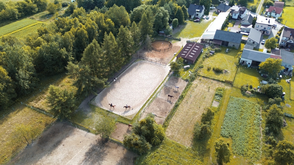 Navigating Zoning Regulations Essential for Horse Owners