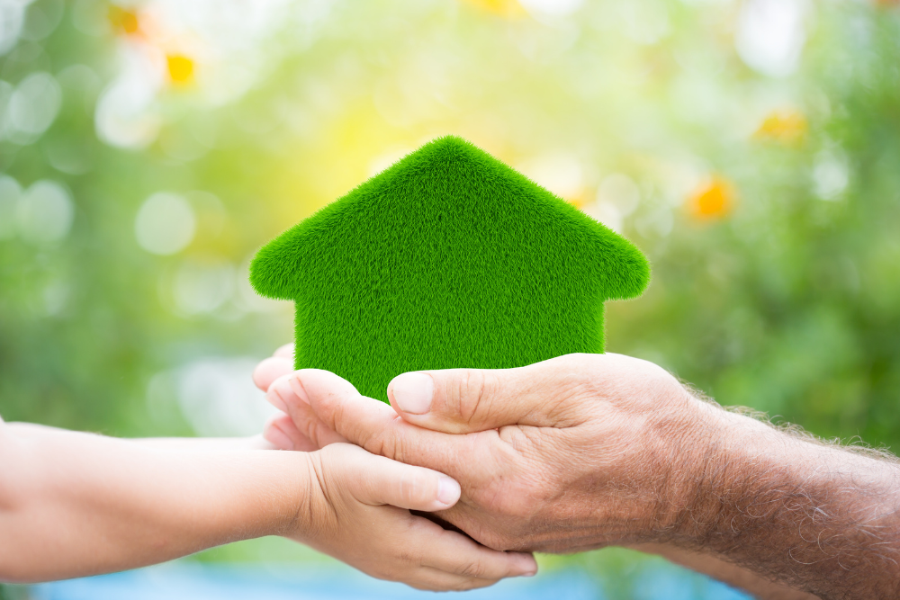 Eco-friendly home design 
