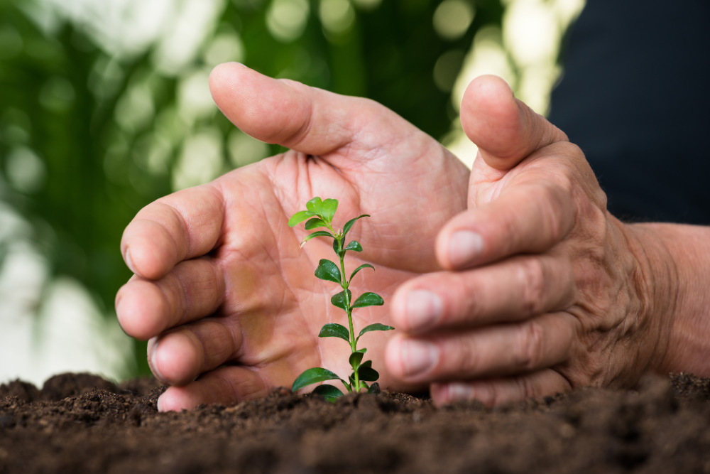 land care in mountain homes land-care-in-mountain-homes