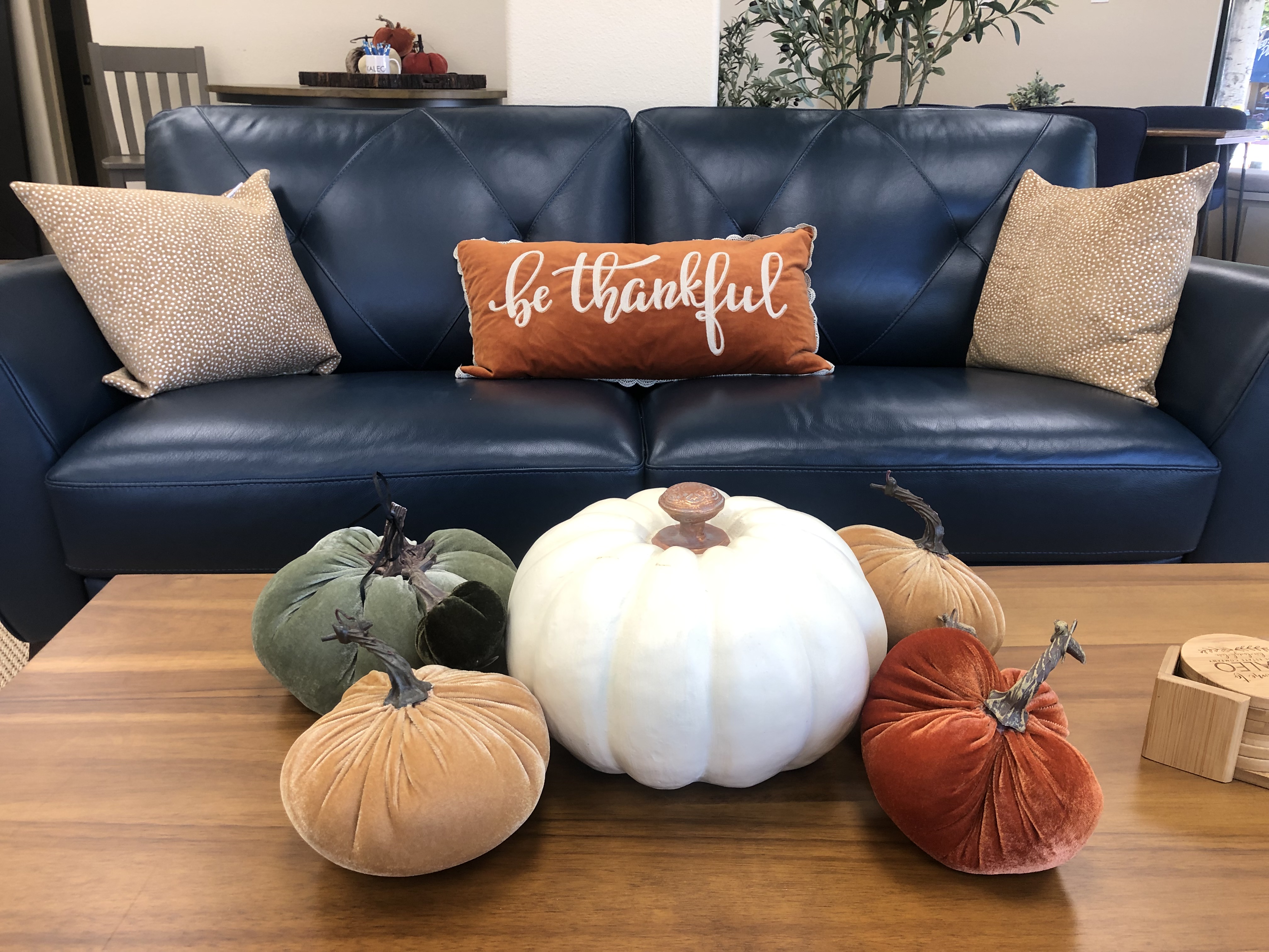 6 Fall Festive Activities to Enjoy