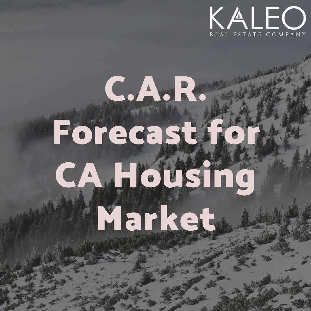  In Love With the Process