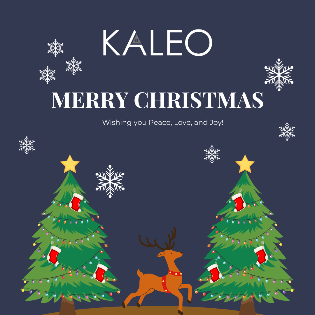 Merry Christmas & Happy Holidays ! 