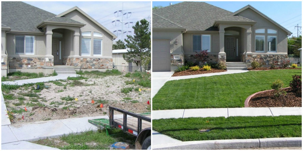 curb appeal lawn, beth sterner