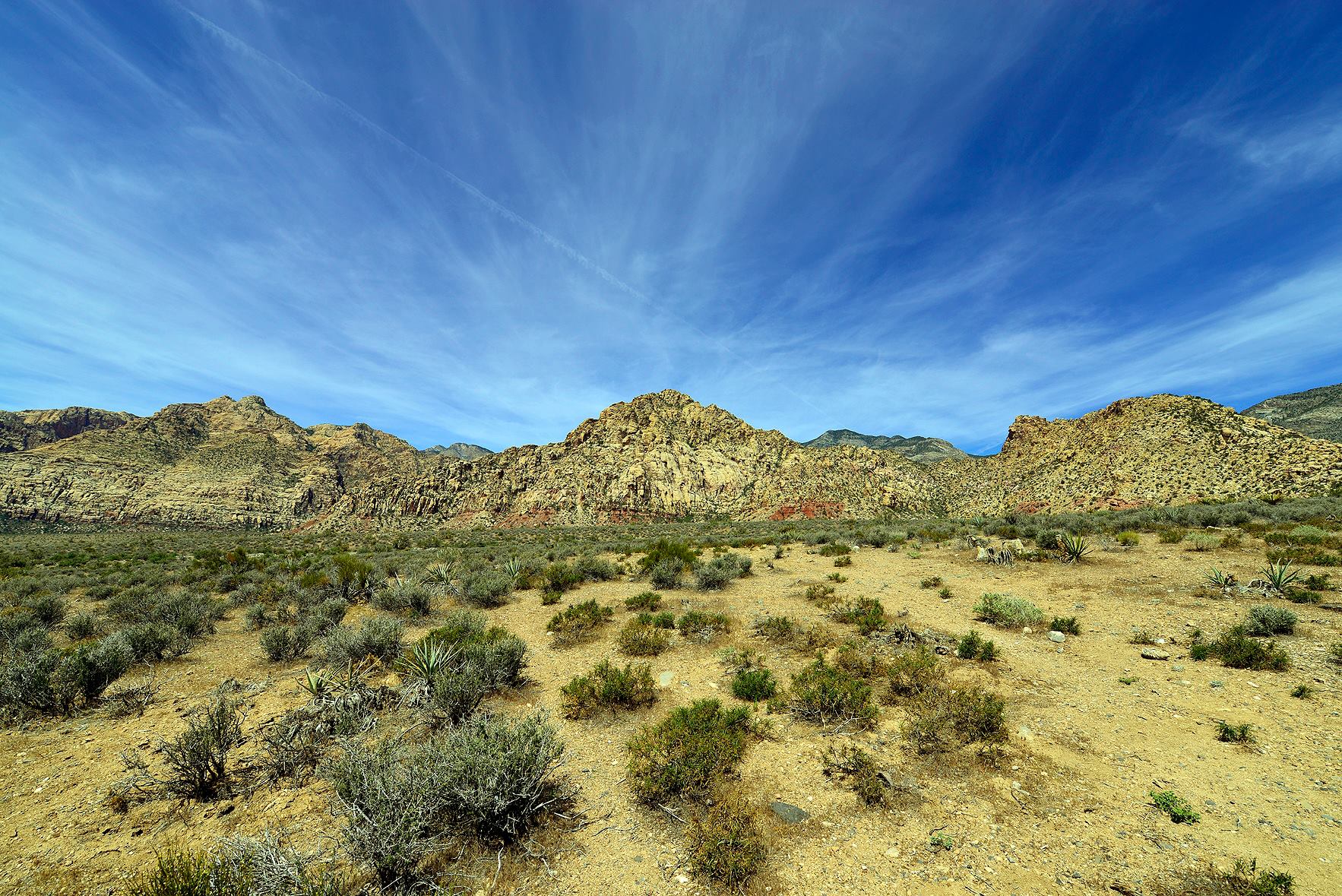 Red Rock Canyon Summerlin Las Vegas