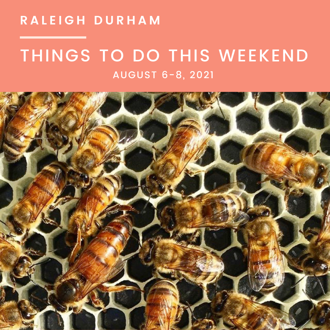 Things to do in Raleigh Durham this Weekend,  August 6-8, 2021, image features bees in beehive by bee downtown