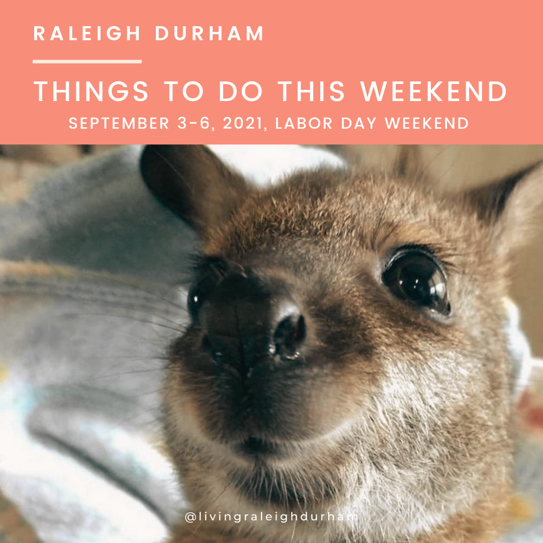 LivingRaleighDurham.com Things to do in Raleigh Durham this Weekend,  September 3-6, 2021, image featuring Wallaby by WildTails
