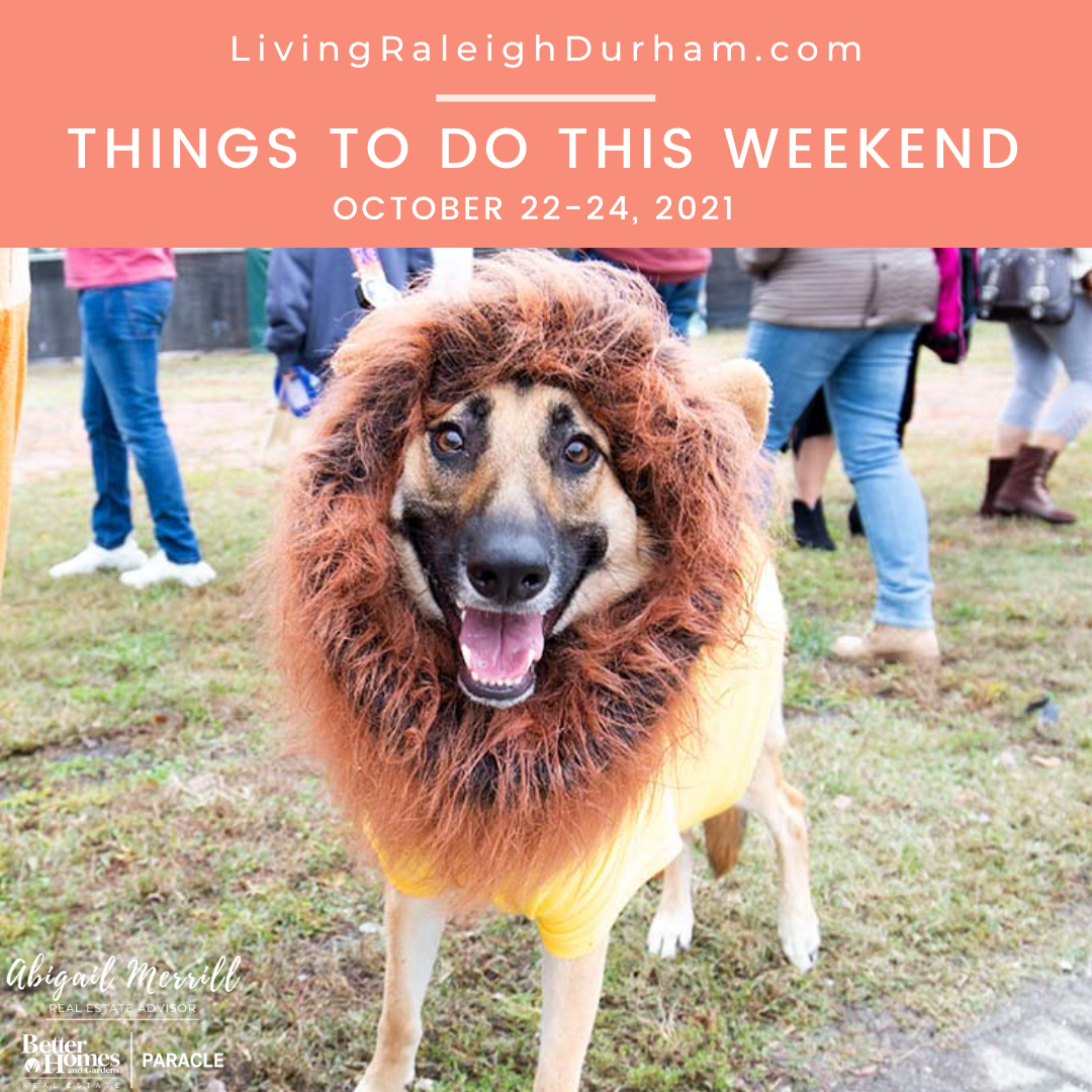 Living Raleigh Durham October 22-24, 2021 Events Featured Events: Barktoberfest 2021, a smiling german shepherd dressed up as a tiger