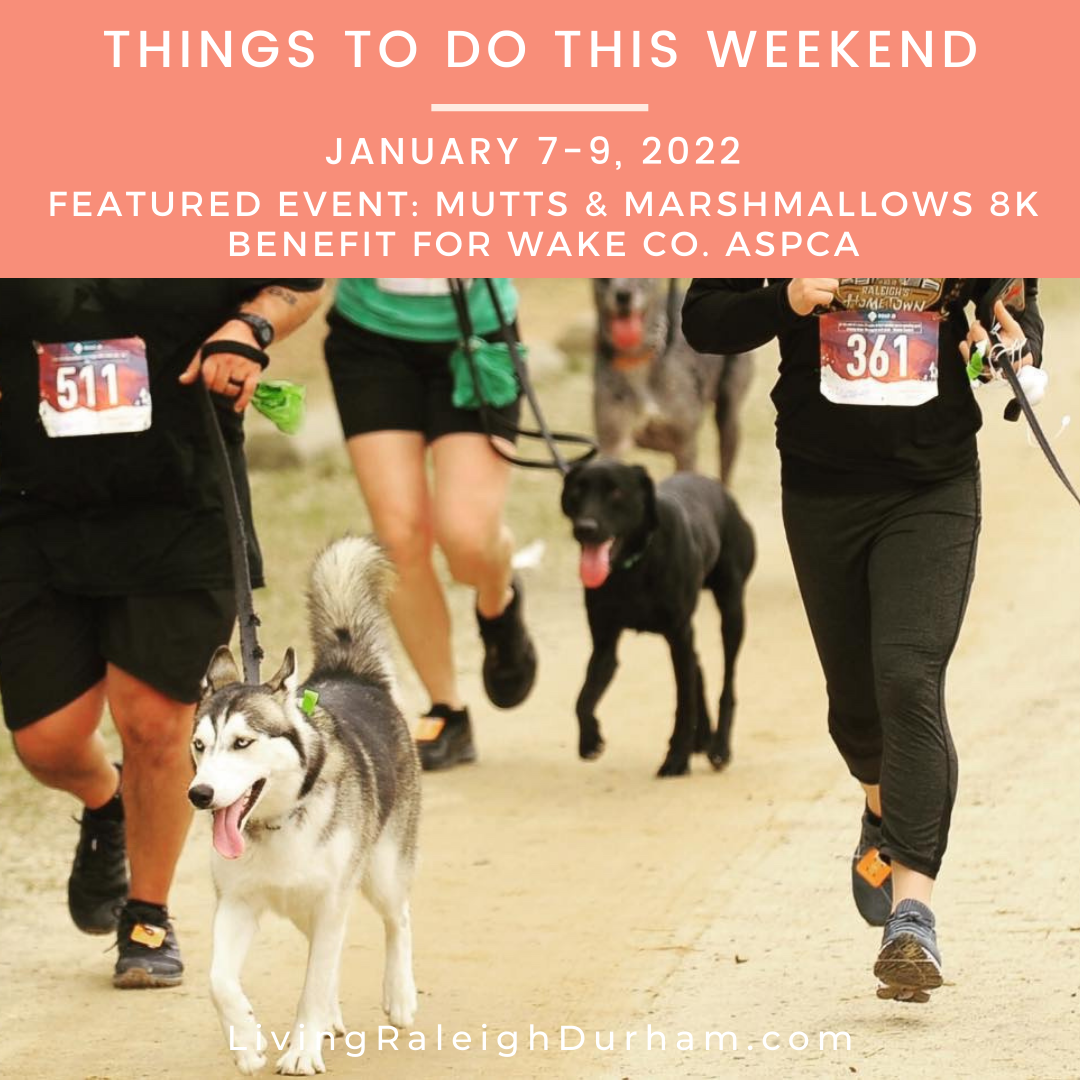  Dogs and humans running the race Living Raleigh Durham January 7th 2022 Featured Event Mutts and Marshmallows