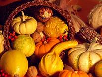 November Opportunities
