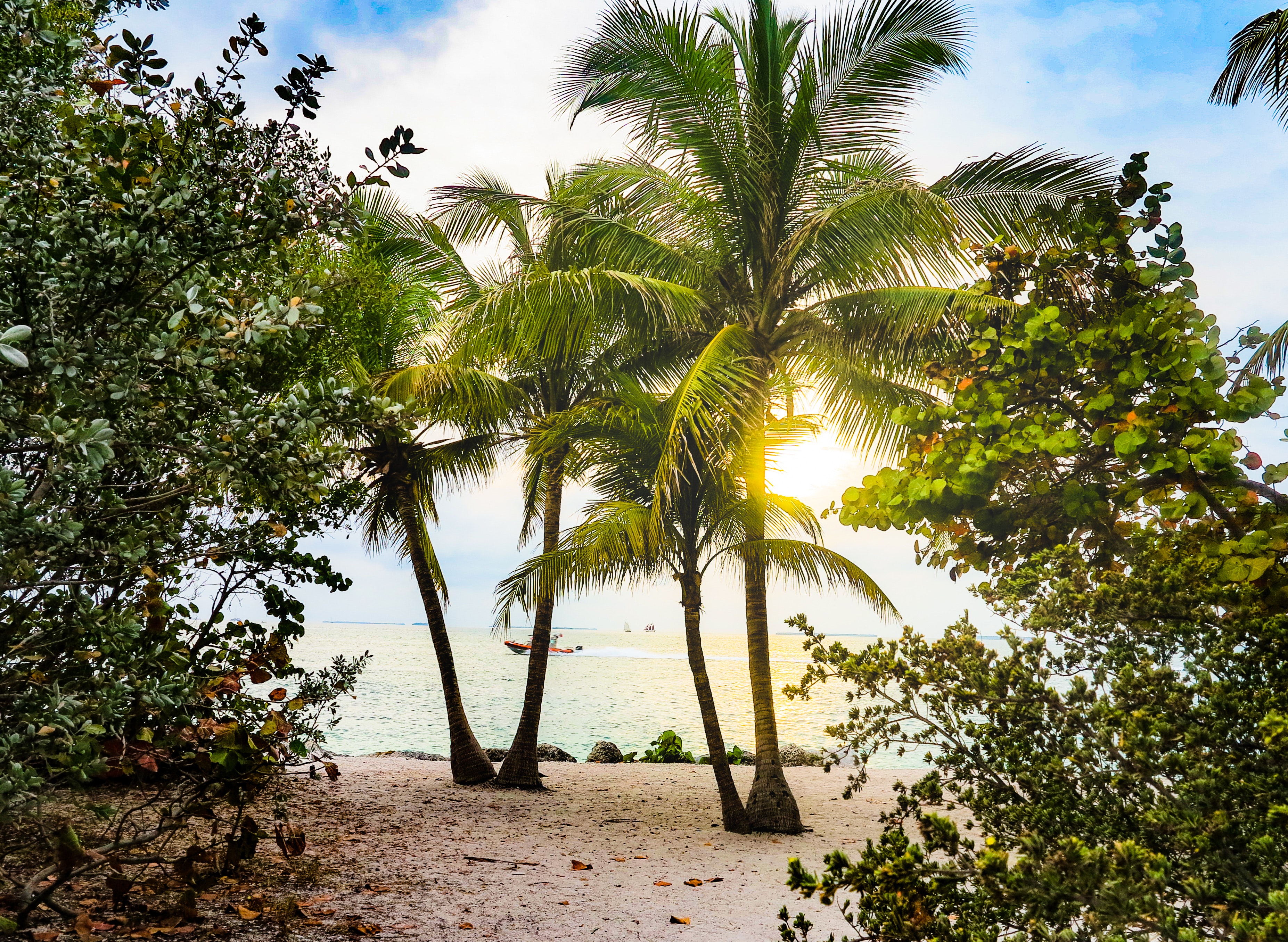 Best 55+ Communities in Boynton Beach: A Comprehensive Guide