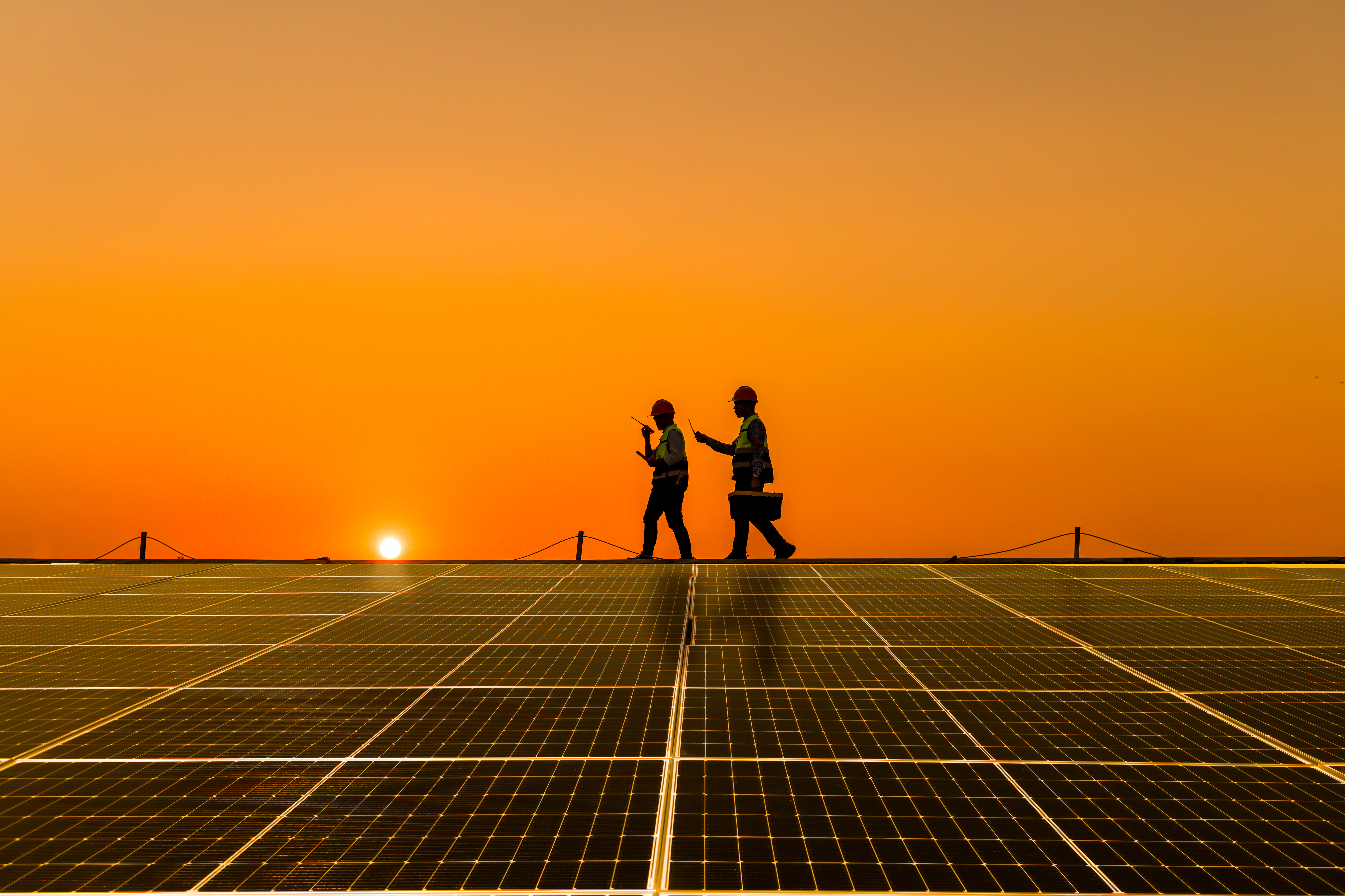 The Best Solar Companies in South Florida Picked by Real Estate Experts 